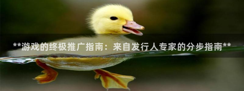 顺盈娱乐平台最新活动：**游戏的终极推广指南：来自发行人专家的分步指南**
