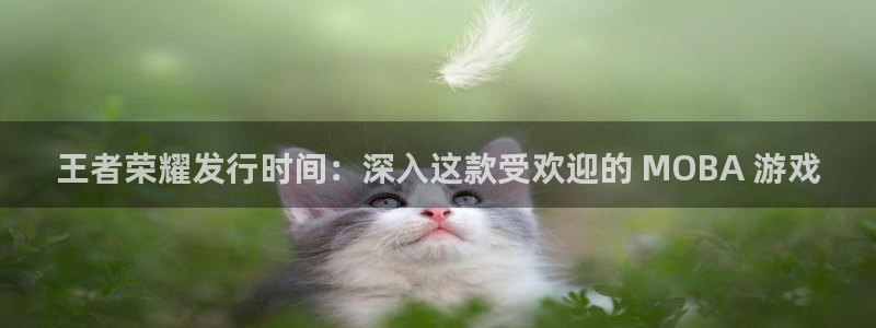 顺盈娱乐违法吗：王者荣耀发行时间：深入这款受欢迎的 MOBA 游戏