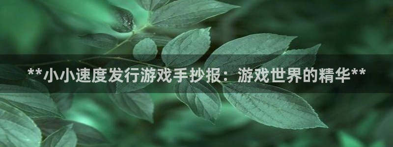 顺盈娱乐官网首页网址是什么：**小小速度发行游戏手抄报：游戏世界的精华**