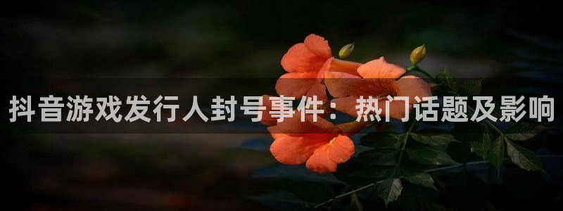 顺盈商贸有限公司：抖音游戏发行人封号事件：热门话题及影响