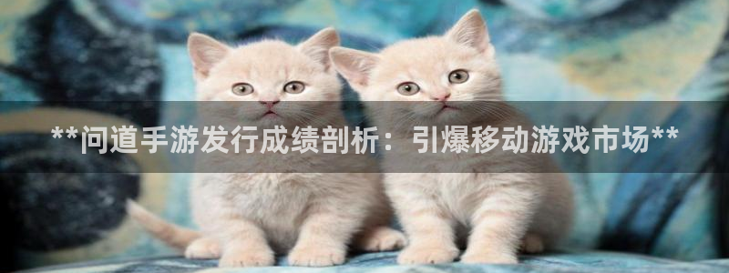 顺盈平台在线注册：**问道手游发行成绩剖析：引爆移动游戏市场**