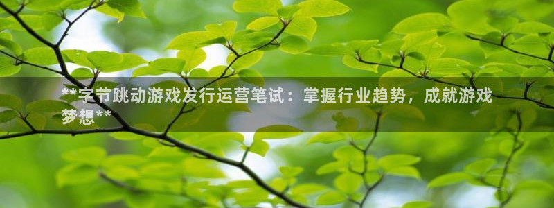 顺盈平台注册开户流程：**字节跳动游戏发行运营笔试：掌握行业趋势，成就游戏
梦想**