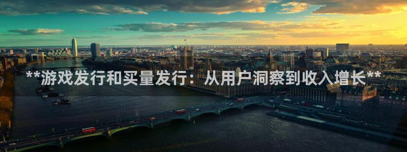 顺盈平台登陆：**游戏发行和买量发行：从用户洞察到收入增长**