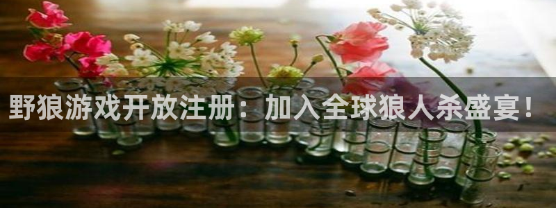 顺盈娱乐官网首页入口：野狼游戏开放注册：加入全球狼人杀盛宴！