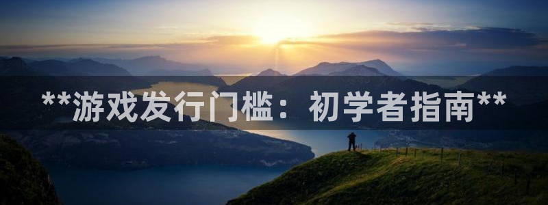 顺盈平台注册流程图片：**游戏发行门槛：初学者指南**