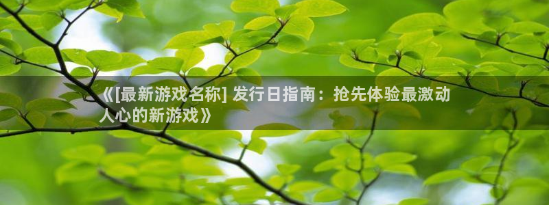 顺盈培训怎么样