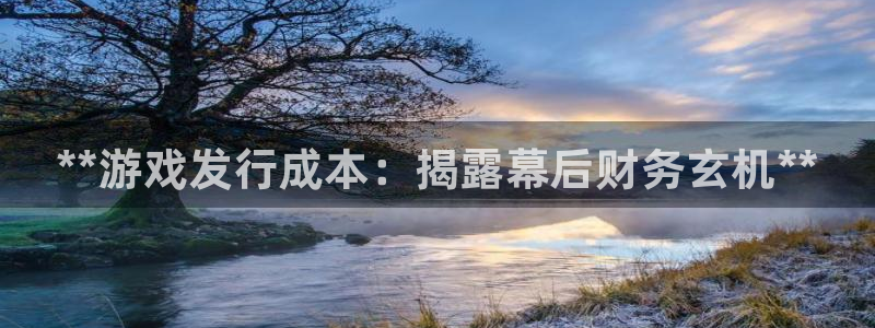 顺盈平台主管：**游戏发行成本：揭露幕后财务玄机**