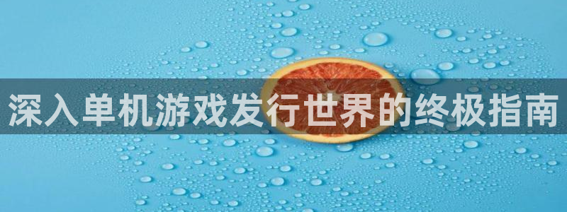 顺盈娱乐公司介绍图片高清：深入单机游戏发行世界的终极指南