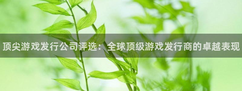 顺盈娱乐扣款成功了吗：顶尖游戏发行公司评选：全球顶级游戏发行商的卓越表现
