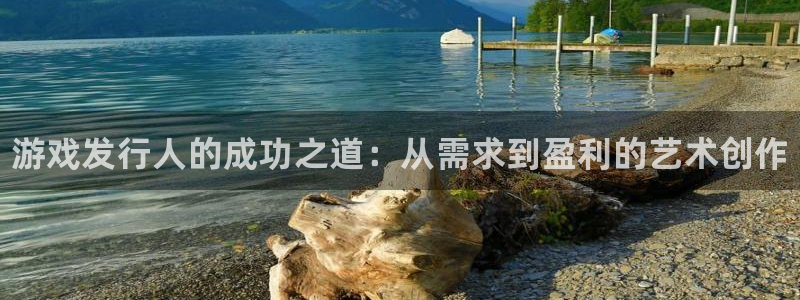 顺盈平台注册资金多少：游戏发行人的成功之道：从需求到盈利的艺术创作