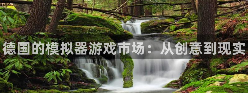 顺盈平台注册网址：德国的模拟器游戏市场：从创意到现实