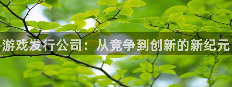 顺盈培训怎么样：游戏发行公司：从竞争到创新的新纪元
