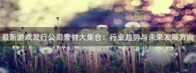 顺盈娱乐扣款成功了吗：最新游戏发行公司素材大集合：行业趋势与未来发展方向