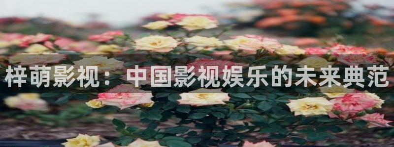 熊猫的视频：梓萌影视：中国影视娱乐的未来典范