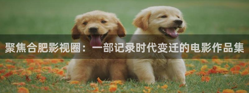 熊猫网络电视：聚焦合肥影视圈：一部记录时代变迁的电影作品集