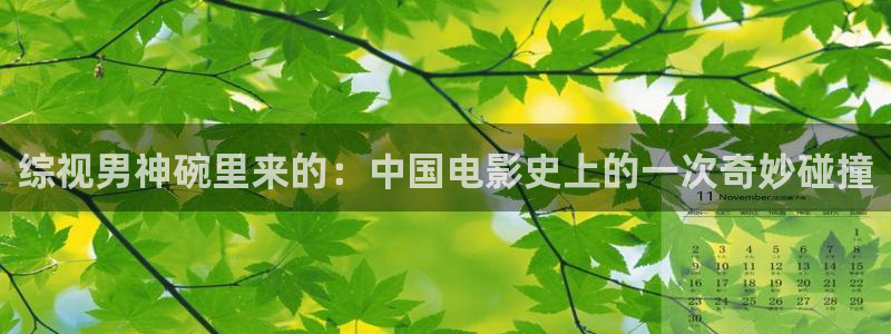 小熊猫电影：综视男神碗里来的：中国电影史上的一次奇妙碰撞