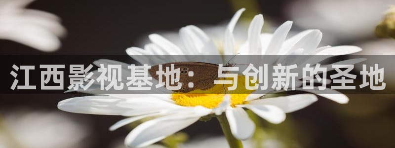 熊猫电影yy8y8最新更新：江西影视基地：与创新的圣地