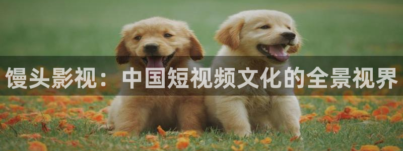 电影熊猫：馒头影视：中国短视频文化的全景视界
