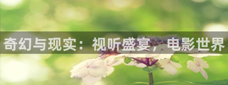 熊猫电影网站：奇幻与现实：视听盛宴，电影世界