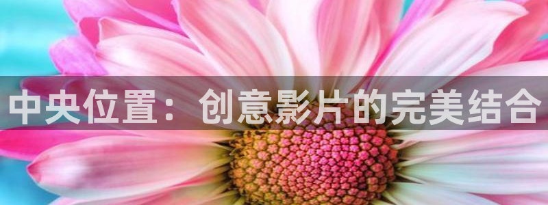 熊猫电影yy8y6：中央位置：创意影片的完美结合