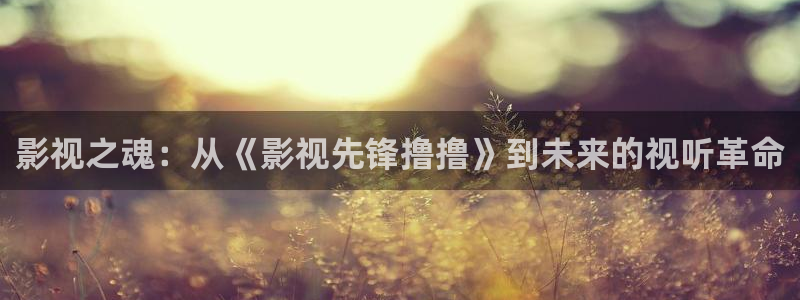 熊猫影视网：影视之魂：从《影视先锋撸撸》到未来的视听革命