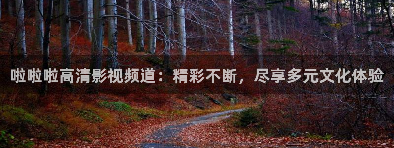 熊猫影院tv：啦啦啦高清影视频道：精彩不断，尽享多元文化体验