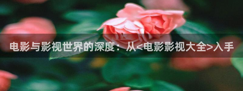 熊猫电影在线看：电影与影视世界的深度：从<电影影视大全>入手