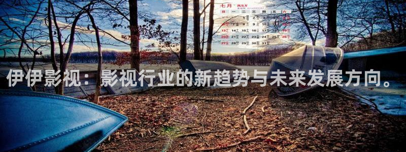 熊猫影院免费观影：伊伊影视：影视行业的新趋势与未来发展方向。
